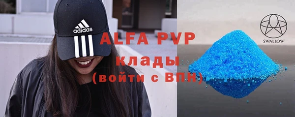 a pvp Бородино