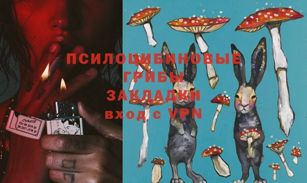 PSILOCYBIN Белоозёрский