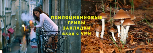 бошки Богородицк