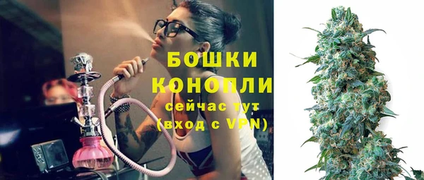 PSILOCYBIN Белоозёрский
