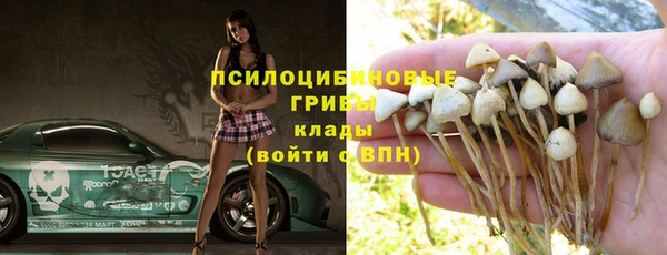 COCAINE Белокуриха