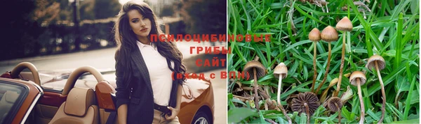 дмт Богородск