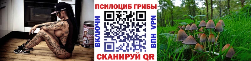 Галлюциногенные грибы Psilocybine cubensis Богородицк